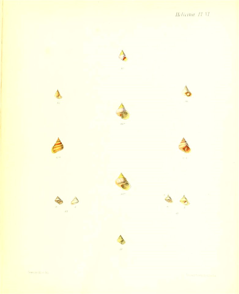 n31_w1150