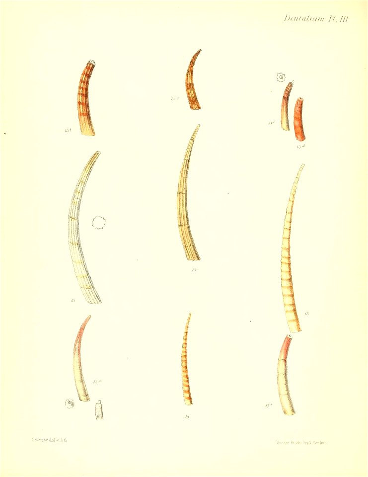 n553_w1150
