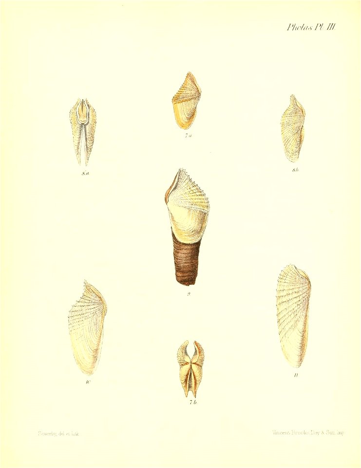 n213_w1150