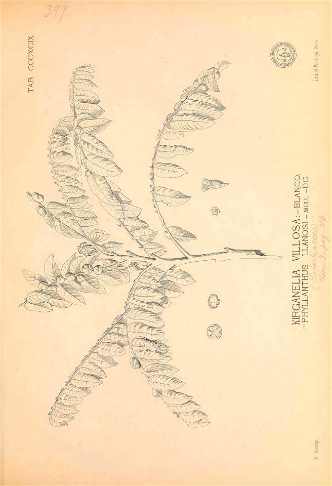 n348_w1150