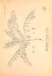 n348_w1150