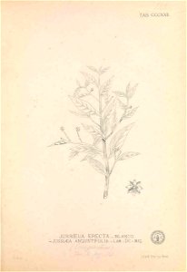 n194_w1150