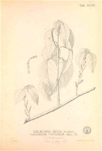 n164_w1150