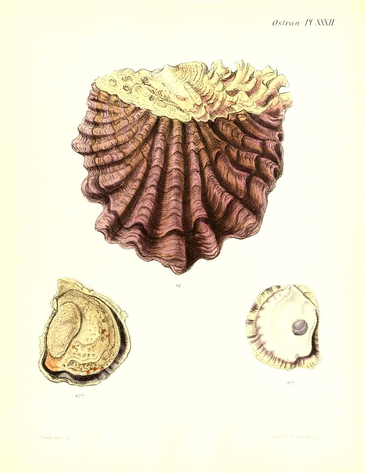 n181_w1150