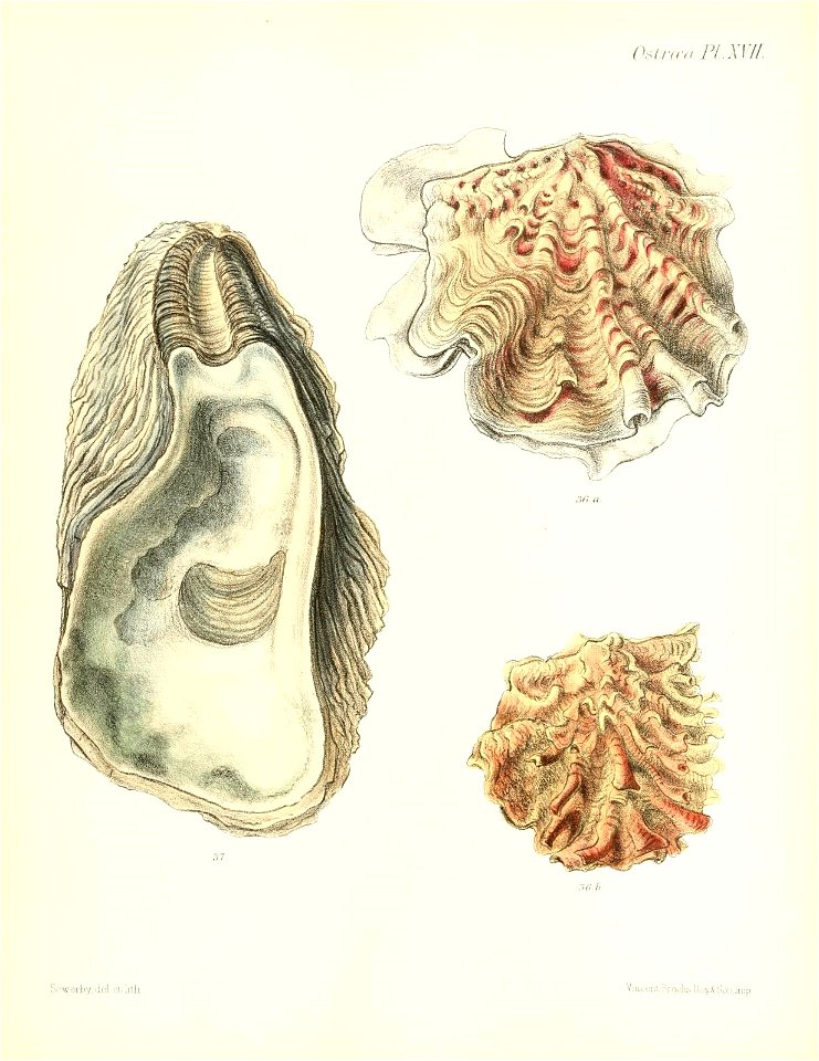 n121_w1150