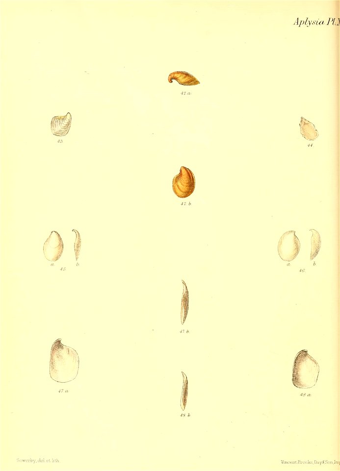 n503_w1150