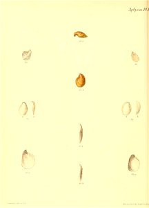 n503_w1150