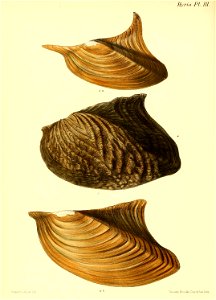 n435_w1150