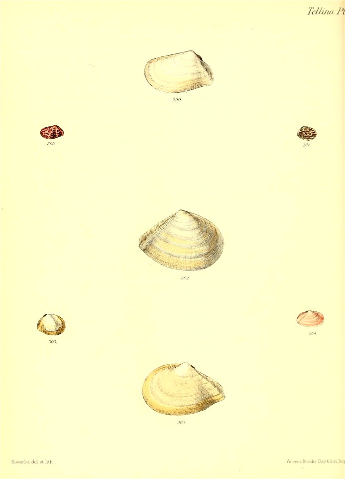 n363_w1150