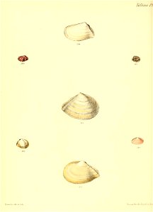n363_w1150