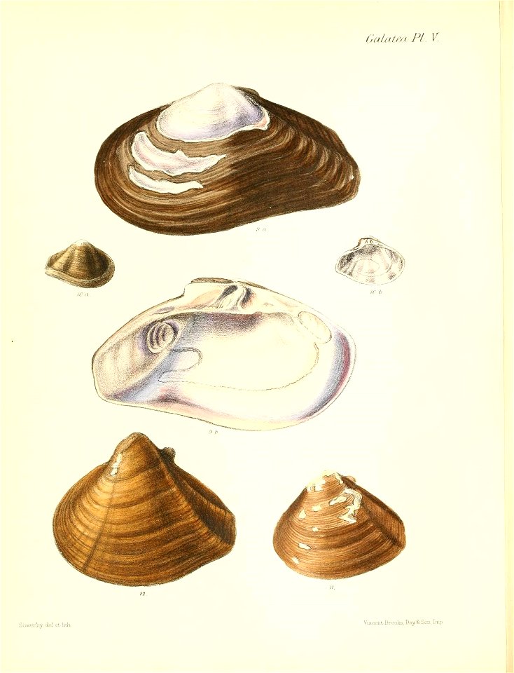 n523_w1150