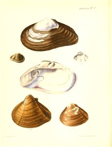 n523_w1150