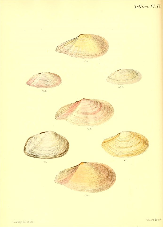 n175_w1150