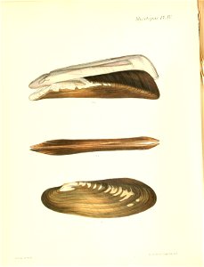 n453_w1150