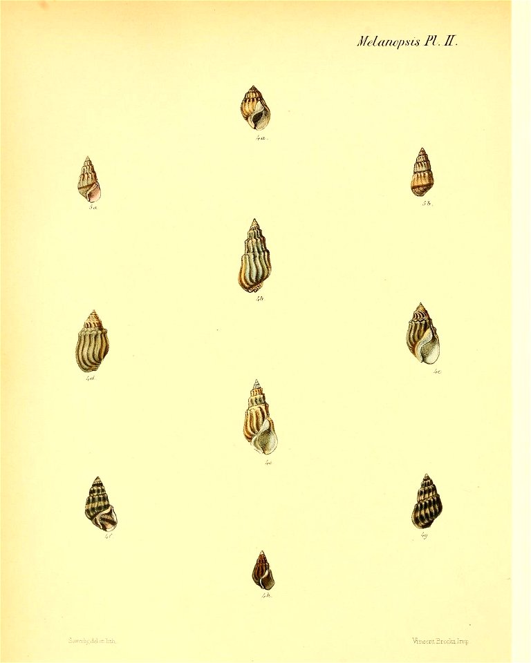 n545_w1150