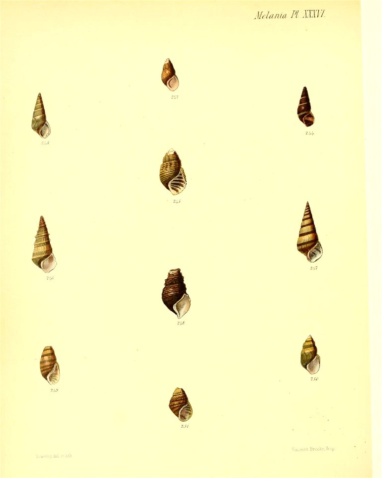 n343_w1150