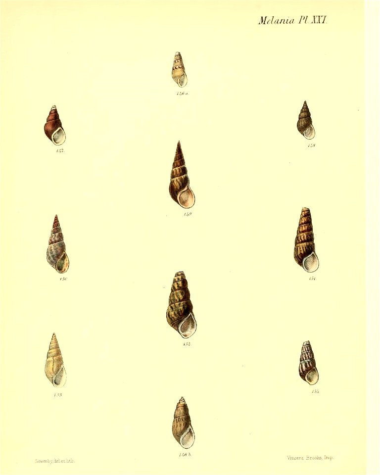 n283_w1150