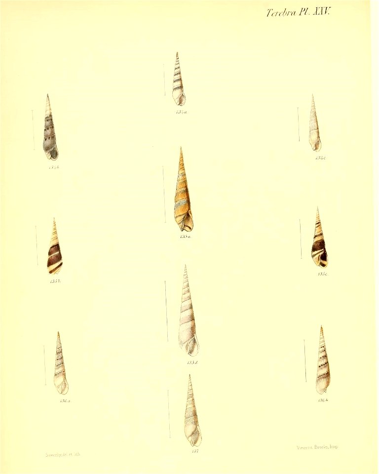 n151_w1150