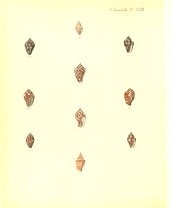 n373_w1150