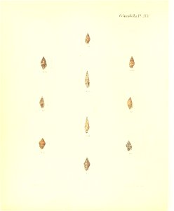 n313_w1150