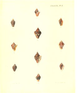 n253_w1150
