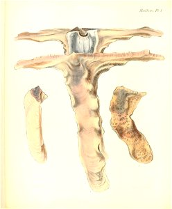 n179_w1150