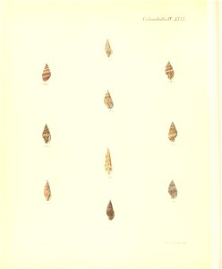 n369_w1150