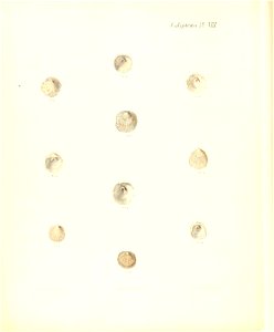 n437_w1150