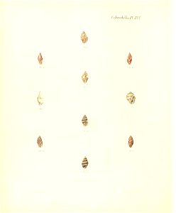 n309_w1150