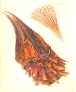 n47_w1150
