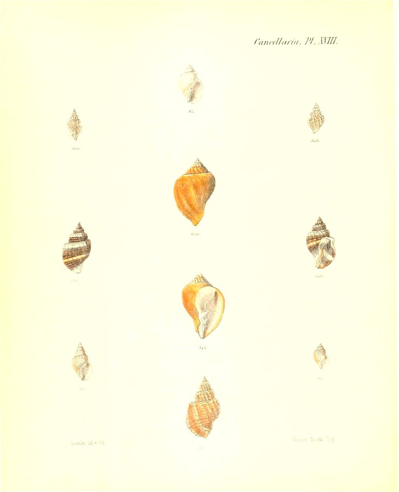 n197_w1150