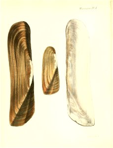 n441_w1150