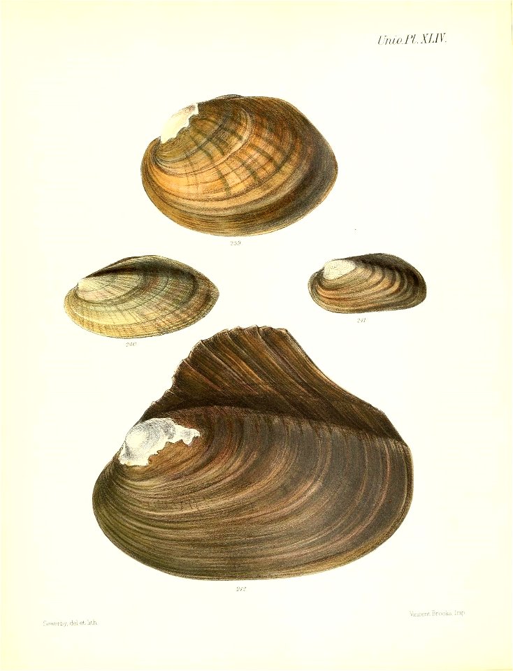n183_w1150