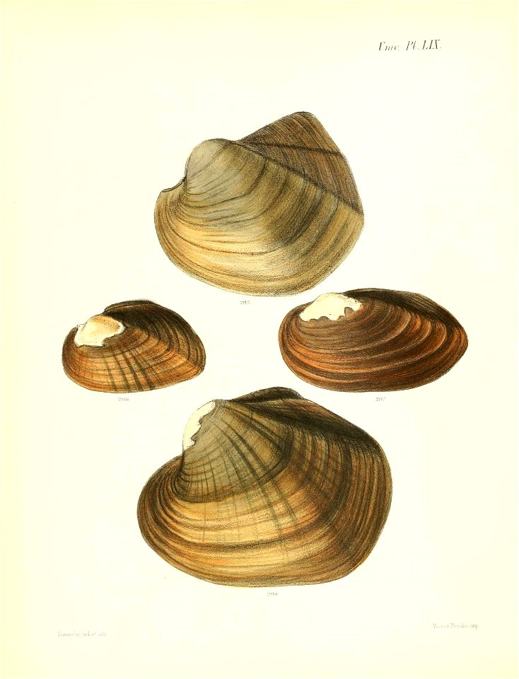 n243_w1150