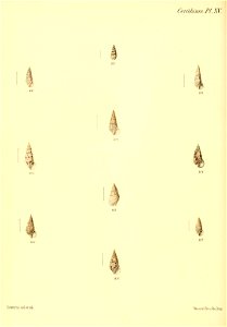 n397_w1150