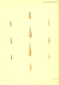 n333_w1150