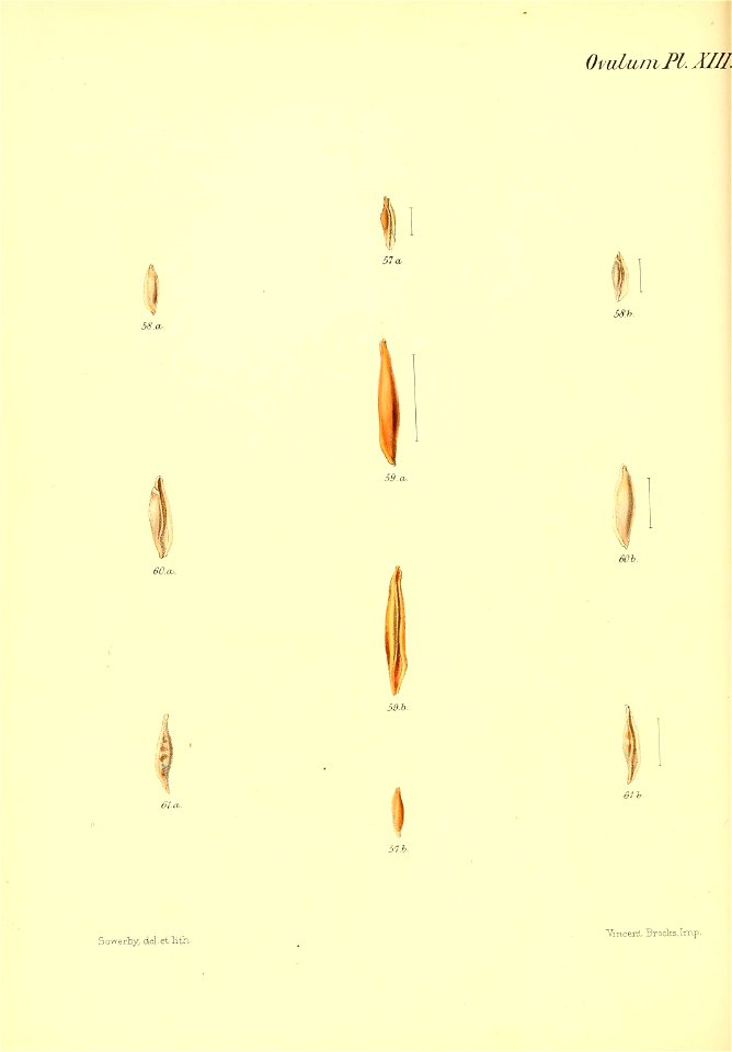 n263_w1150