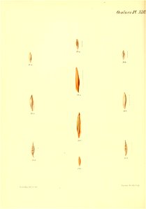 n263_w1150