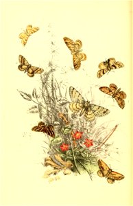n169_w1150
