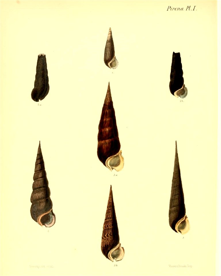 n531_w1150