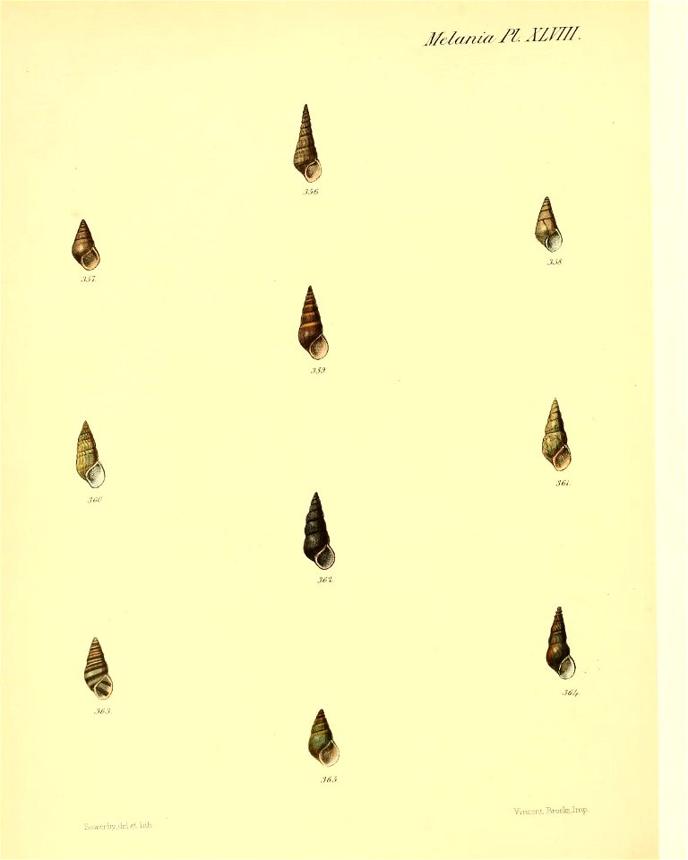 n391_w1150