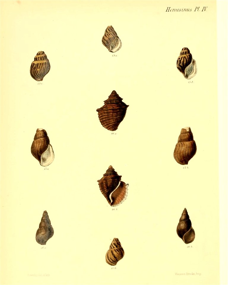 n459_w1150