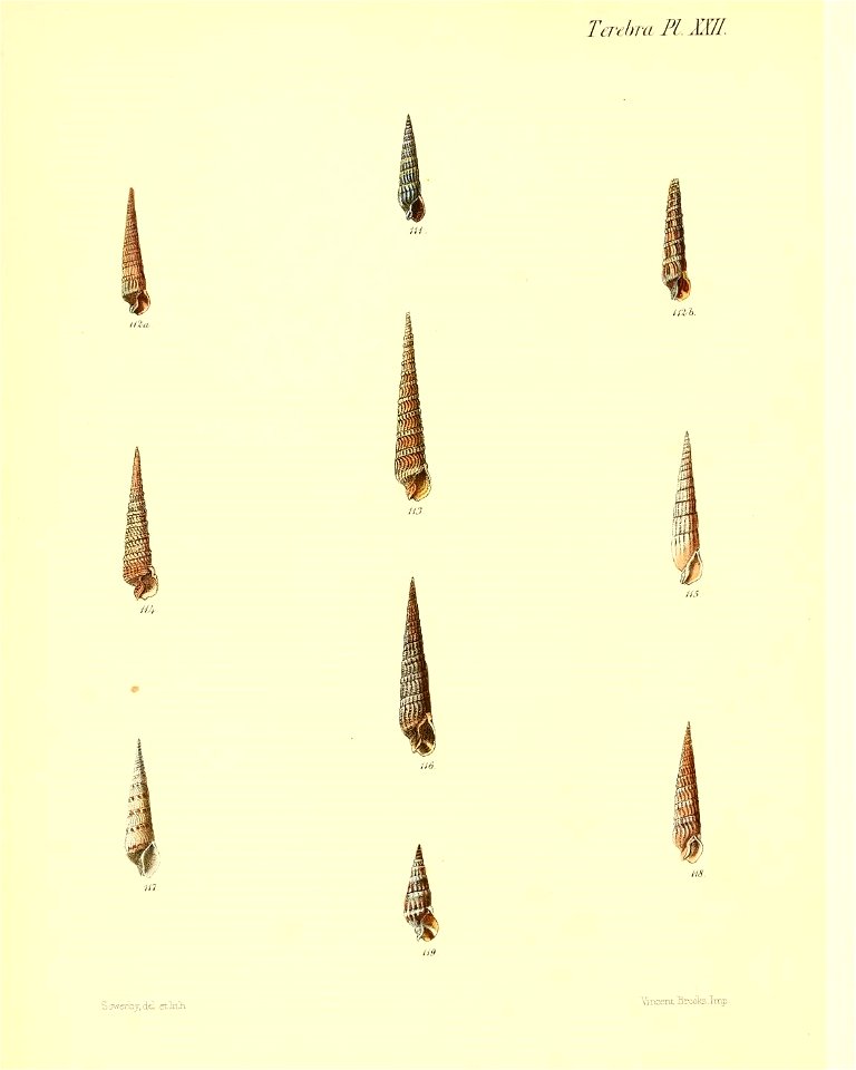 n139_w1150