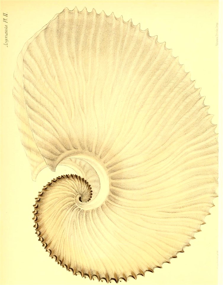 n15_w1150