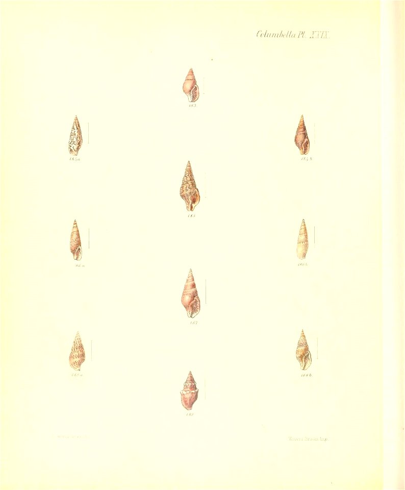n361_w1150