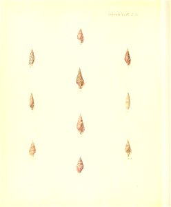 n361_w1150