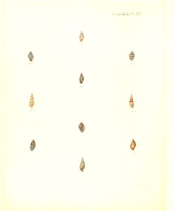 n301_w1150