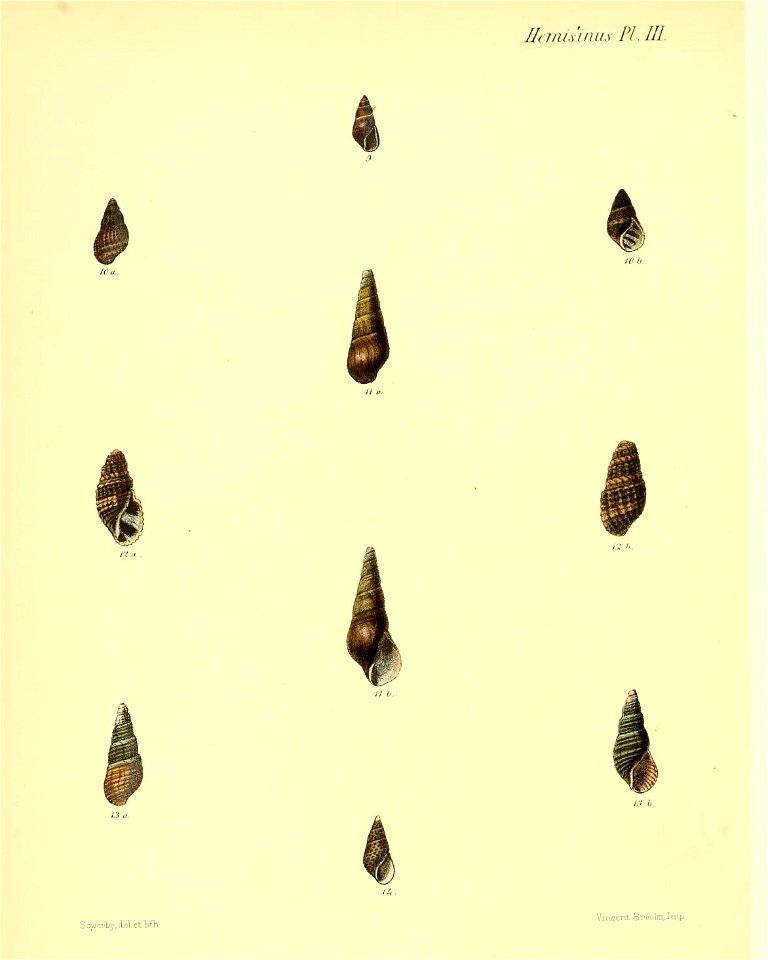 n455_w1150