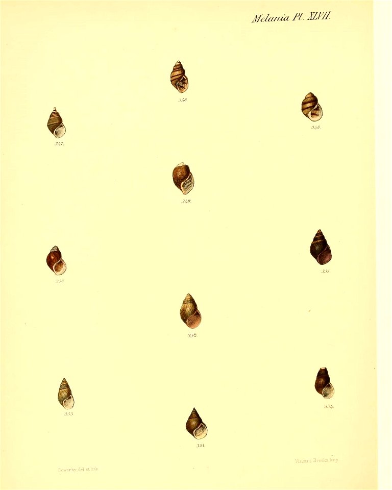 n387_w1150