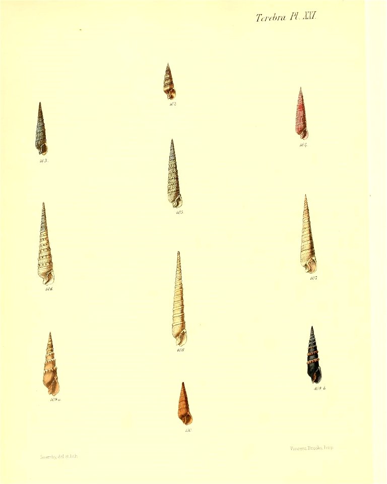 n135_w1150